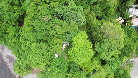 Old-Abandoned-Plane-In-Lush-Jungle-Off-Costa-Rica-Beach,-4K-Drone