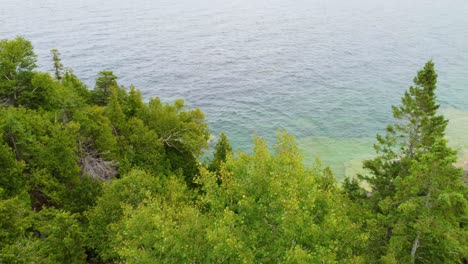 Lush-Pine-Tree-Forest-Over-Rocky-Mountains-In-Georgian-Bay,-Ontario-Canada