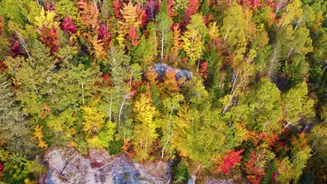 Cinematic-aerial-push-in-tilt-down-over-vibrant-orange-and-yellow-green-trees-on-granite-cliffside