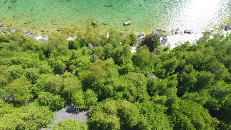 Crystal-clear-lake-water-and-green-forest-coast,-aerial-view