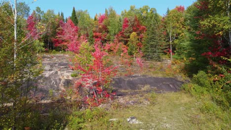Rocky-Terrain-And-Autumn-Forest-In-Réserve-Faunique-La-Vérendrye-In-Quebec,-Canada