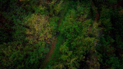 Aerial-bird's-eye-view-of-mountain-biker-walking-bike-up-along-trail-or-path