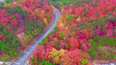 Landscapes-of-Dalton,-Georgia,-aerial-perspective-gracefully-captures-the-beauty-of-autumn-as-it-blankets-the-highway-with-car-traffic,-vibrant-hues
