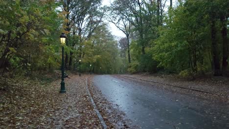 Row-of-vintage-street-lanterns-turning-on-in-the-rainy-autumn-park