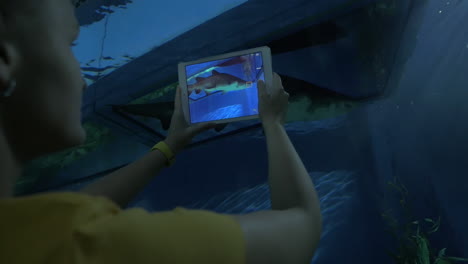 Woman-with-pad-taking-shot-of-sea-animal-in-oceanarium