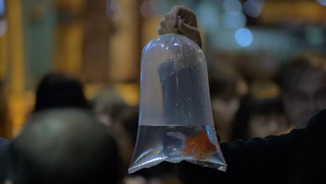Woman-in-the-street-holding-a-packet-with-goldfish