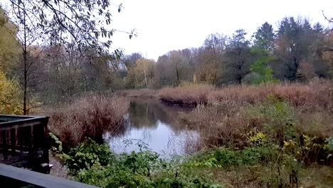 pan-to-the-left,-little-swamp,-Autumn,-Hassendeide-Park-in-Berlin,-HD,-6-secs