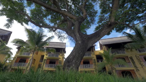 Hotels-and-trees-on-tropical-resort