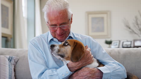 Älterer-Mann-Sitzt-Zu-Hause-Auf-Dem-Sofa-Mit-Seinem-Beagle-Hund