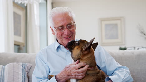 Senior-Man-Sitting-On-Sofa-At-Home-With-Pet-French-Bulldog