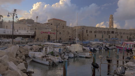 Acre-view-with-Khan-al-Umdan-Sea-Mosque-and-port-Israel