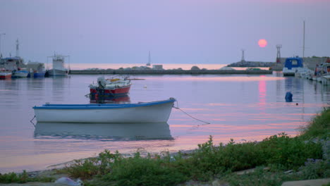 Marine-evening-scene-of-quiet-harbour-with-tied-up-boats-and-sea-gulls
