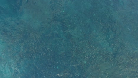 Luftaufnahme-Der-Blauen-Meeresoberfläche-Und-Schaumiger-Wellen