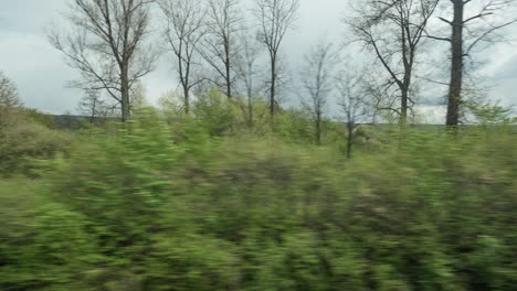 Timelapse-view-from-riding-train-window-of-coutryside-landscape-trees-forests-houses-against-cloudy-sky
