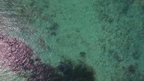 Luftaufnahme-Des-Ozeanblauen-Wassers-Mit-Wellenkorallen-Und-Wasserpflanzen-Auf-Der-Insel-Mauritius