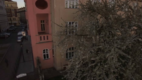 Luftaufnahme-Eines-Typischen-Europäischen-Hauses-Und-Eines-Blühenden-Baumes-In-Prag,-Tschechische-Republik