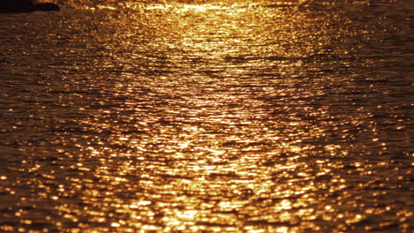 Dark-water-with-golden-sun-path