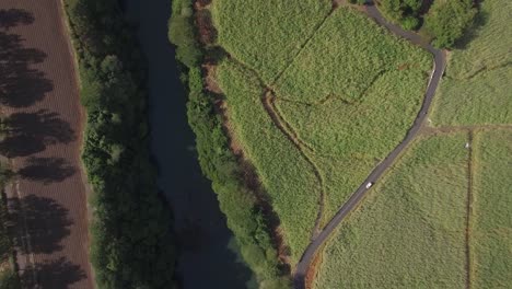 Fluss--Und-Zuckerrohrfelder,-Luftaufnahme-Von-Mauritius