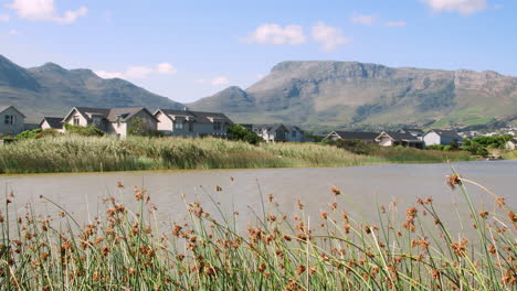 View-of-reeds,-lake,-houses-and-mountains-form-lakeshore