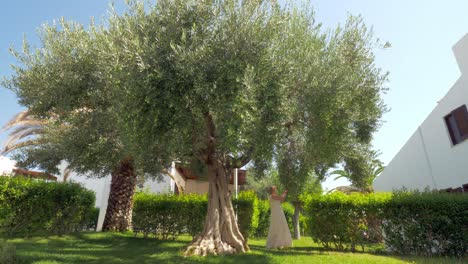 Mujer-Recogiendo-Aceitunas-De-Un-árbol-En-El-Jardín.