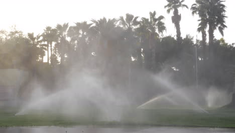Automatic-sprinklers-watering-lawns-in-the-street