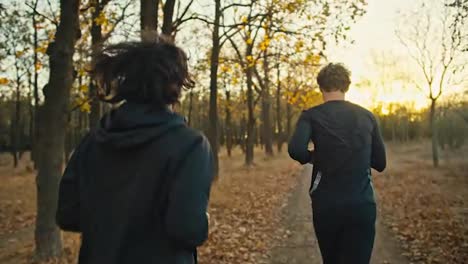 Rear-view-of-two-brunette-guys-in-black-sportswear-running-along-an-earthen-path-with-fallen-autumn-leaves-in-the-morning-at-Sunrise