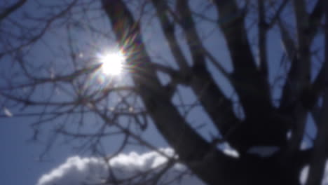 Sol-Brillando-En-El-Cielo-Azul-Vista-A-Través-Del-Video-Retro-Del-árbol