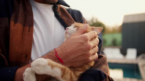 Primer-Plano:-Un-Hombre-Sostiene-Y-Acaricia-A-Un-Gato-Rojo.-Descansando-En-La-Casa-De-Campo.