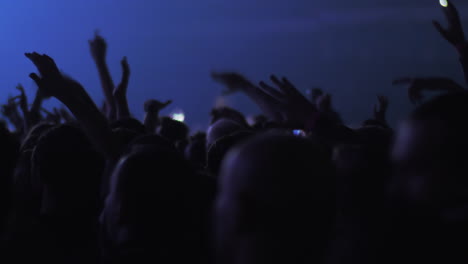 Dancing-audience-at-the-concert