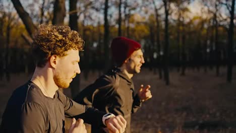 A-brunette-man-with-curly-hair-and-a-beard-in-black-sportswear-runs-with-his-partner-through-the-morning-sunny-autumn-forest-during-his-jog