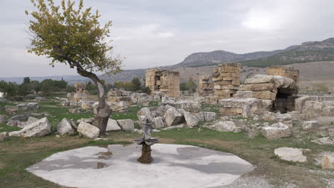 Ancient-drinking-fountain-and-ruins-of-Hierapolis-in-Pamukkale-Turkey