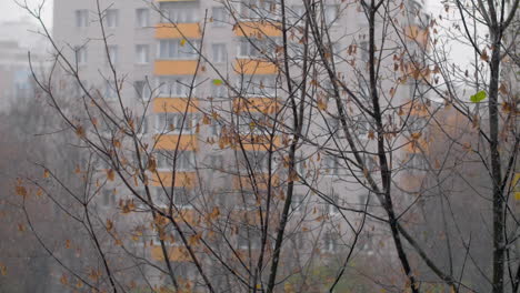 Finales-De-Otoño-En-La-Ciudad