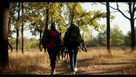 Rear-view-of-a-group-of-people-with-similar-backpacks-walking-along-the-redemption-road-and-summer-withered-grass-in-the-forest-in-summer.-Hiking-as-an-active-leisure-activity