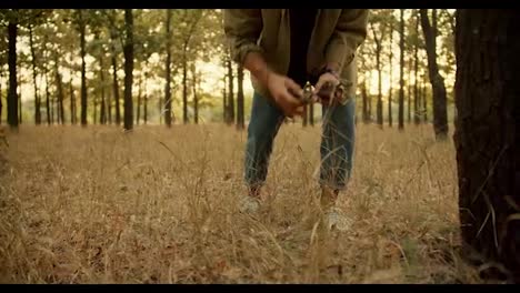 A-man-in-a-light-green-shirt-walks-through-a-forest-with-withered-grass-and-collects-firewood-to-start-a-fire.-Finding-firewood-for-a-fire-during-a-camping-stop