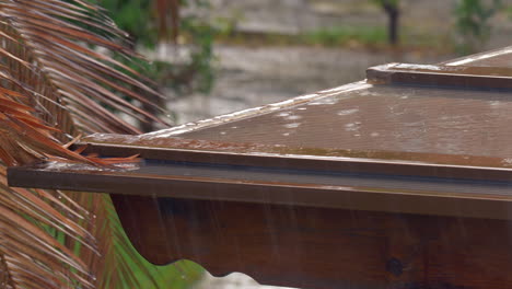 Rain-pouring-and-making-roof-and-palm-wet