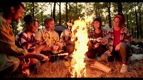 Excursionistas-Felices-Con-Ropa-De-Senderismo-Y-Camisas-A-Cuadros-Asan-Malvaviscos-En-Un-Gran-Fuego-Brillante-Durante-Una-Caminata-Por-El-Bosque-Por-La-Noche.-Chicos-Y-Chicas-Se-Sientan-Alrededor-Del-Fuego-Y-Asan-Malvaviscos-Que-Ensartan-En-Palitos-De-Madera.