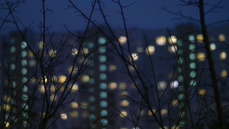 Bloque-De-Apartamentos-En-La-Vista-Nocturna-A-Través-De-Ramas-De-árboles