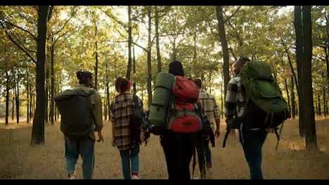 Rear-view-of-a-group-of-travelers-on-a-hike-in-a-summer-forest.-Four-people-in-special-hiking-clothes-with-backpacks-walk-along-the-forest-along-the-dry-summer-grass.-Active-lifestyle-and-hiking