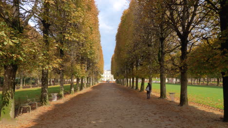 Escena-Otoñal-Del-Paseo-Arbolado-En-Los-Jardines-De-Luxemburgo,-París