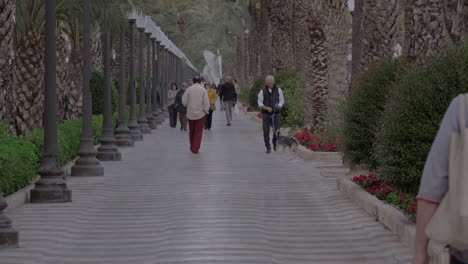 People-walking-on-pedestrian-avenue-in-Alicante-Spain