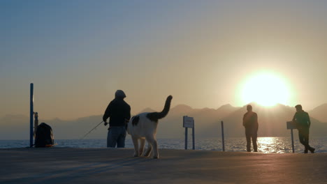 Fischer-Und-Streunende-Katze-Auf-Dem-Pier-Bei-Sonnenuntergang