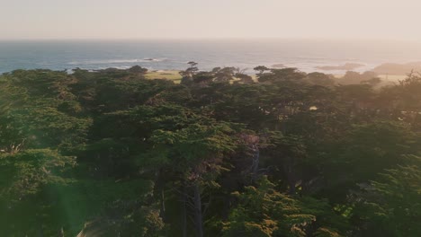 Overhead-shot-of-trees-on-the-island-in-Monterey-during-sunset-with-the-sea-in-the-background,-aerial-orbital-shot