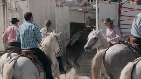 Grupo-De-Jinetes,-Tanto-Hombres-Como-Mujeres,-Utilizan-Sus-Caballos-Para-Guiar-Al-Toro-Hacia-Los-Boxes