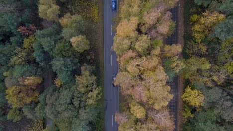 Bird's-Eye-View-Of-A-Road-In-Autumn-Tree-Nature-In-Kuźnica,-Hel-Peninsula,-Northern-Poland