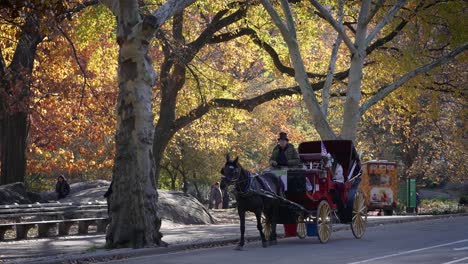 Eine-Pferdekutsche-Fährt-Gemächlich-Durch-Das-Atemberaubende-Herbstlaub-Im-Central-Park