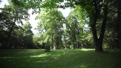 A-general-gimbal-shot-of-the-Schlossgarten-in-Karslruhe,-Germany