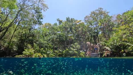POV-half-submerged-diving-in-crystal-clear-turquoise-waters-at-Nicte-ha-cenote-with-people-swimming-in-Tulum,-Mexico