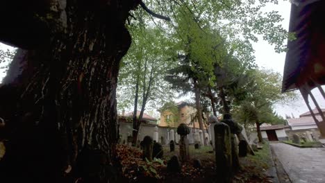 Sarajevo,-Churches,-and-Mosques:-Dive-into-the-cultural-heart-of-Sarajevo,-where-churches-and-mosques-converge