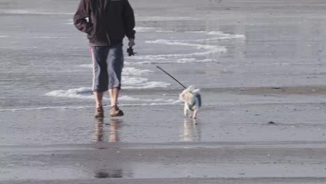 Winter-walk-with-a-dog,-couple-braving-wind-in-Ireland-on-a-sandy-beach