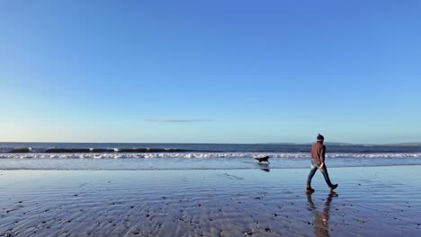 Sunny-winter-day-and-a-man-with-a-dog-walks-by,-Ireland